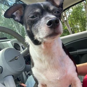 Meet your Posher, Maxx